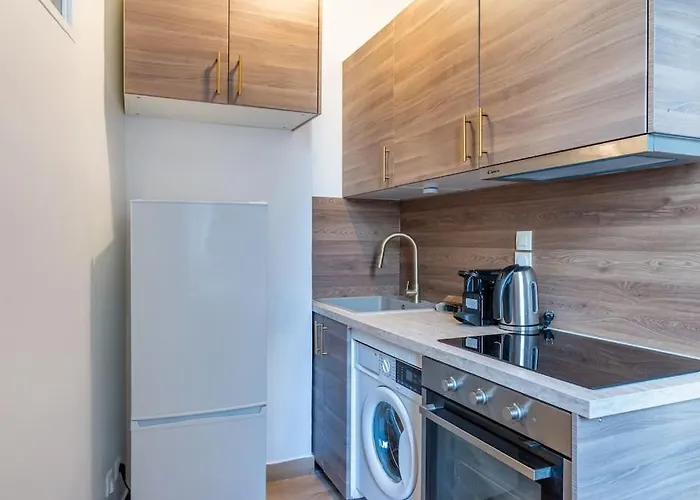 Appartement Metro Alexandre Dumas - II